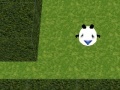 Játék Panda Hates Mazes