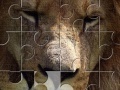Játék Lion Jigsaw