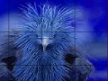 Játék Timid blue bird slide puzzle