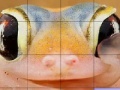 Játék Pink frog slide puzzle