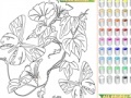 Játék Kid's coloring: Flowers for Butterflies