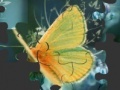Játék Butterfly