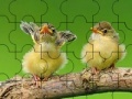 Játék Two cute sparrow puzzle