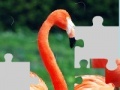 Játék Flamingo puzzle