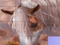 Játék Slide Puzzle: Horse