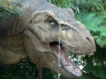 Játék Tyrannosaurus Rex Jigsaw