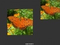 Játék Orange Butterfly