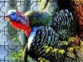 Játék Colorful turkey in the forest puzzle
