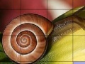 Játék Snail and flower slide puzzle
