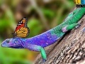 Játék Lizard and butterflies puzzle