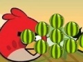 Játék Angry Birds - cut the rope