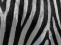 Játék Jigsaw: Zebra Stripes