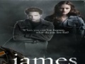 Játék Twilight-James Jigsaw