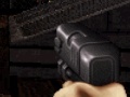 Játék Duke Nukem: FPS