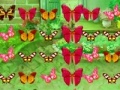 Játék Butterfly Match