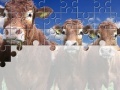 Játék Gorgeous Cows Jigsaw