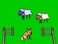 Játék Sheep!