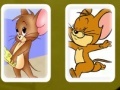 Játék Tom and Jerry Cards Match