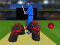 Játék Cricket tap catch