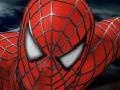 Játék Spider-man 3: Rescue Mary Jane 
