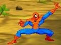 Játék Spiderman: Hero Training 