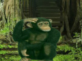 Játék Chimpanzee Forest Escape