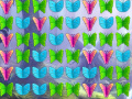 Játék Butterfly Collector