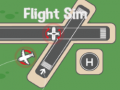 Játék Flight Sim