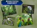 Játék Jigsaw Puzzle Rain Forest 