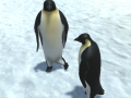 Játék The littlest penguin