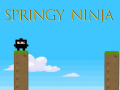 Játék Springy Ninja