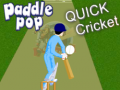 Játék Paddle Pop Quick Cricket