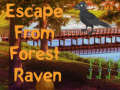 Játék Escape from Forest Raven