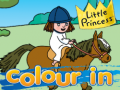 Játék Little princess Colour in