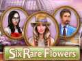 Játék Six Rare Flowers