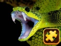 Játék Snake Puzzle Challenge