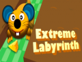 Játék Extreme Labyrinth