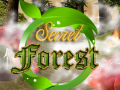 Játék Secret Forest