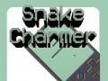 Játék Snake Charmer