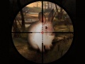 Játék Classical Rabbit Sniper Hunting 2019