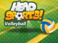 Játék Head Sports Volleyball