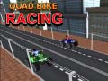 Játék Quad Bike Racing