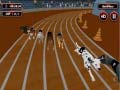 Játék Crazyl Dog Racing Fever