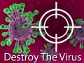 Játék Destroy The Virus