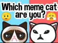 Játék Which Meme Cat Are You?