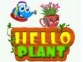 Játék Hello Plant 
