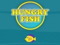 Játék Hungry Fish