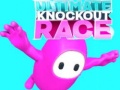 Játék Ultimate Knockout Race