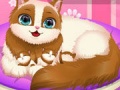 Játék Cute Kitty Pregnant