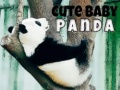Játék Cute Baby Panda